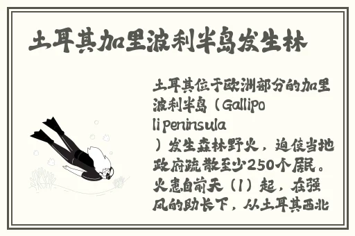 男人的加油站app